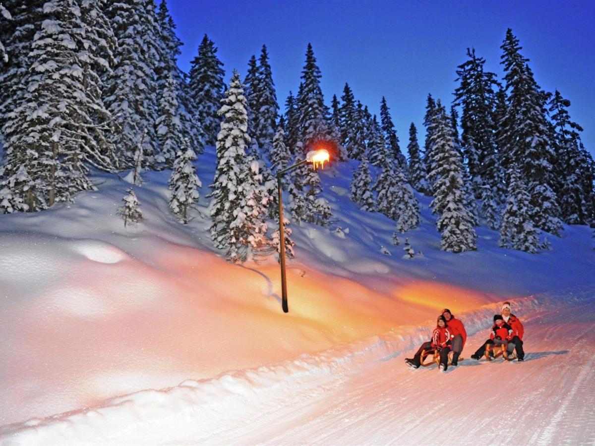 Apartment In Untertauern Near Ski Area Zewnętrze zdjęcie